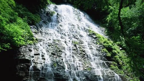 智能可靠性高效
